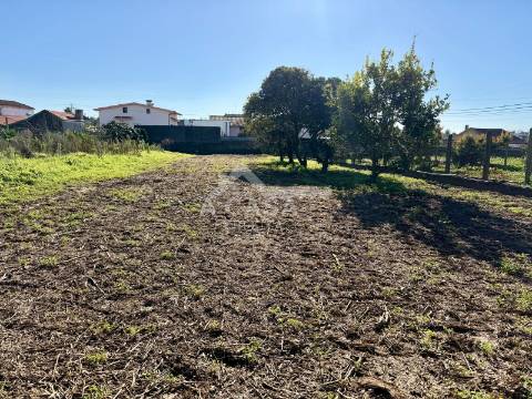 Moradia isolada T3 com logradouro em São João