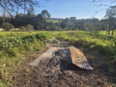 Moradia Isolada Térrea T3 com anexos e logradouro em São João