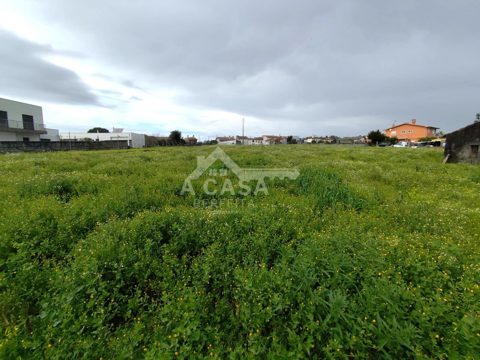 Terreno para construção em São João de Ovar