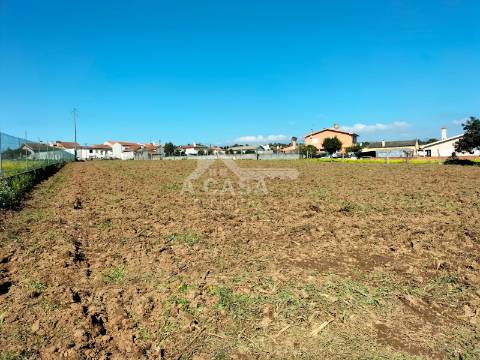 Terreno para construção em São João de Ovar