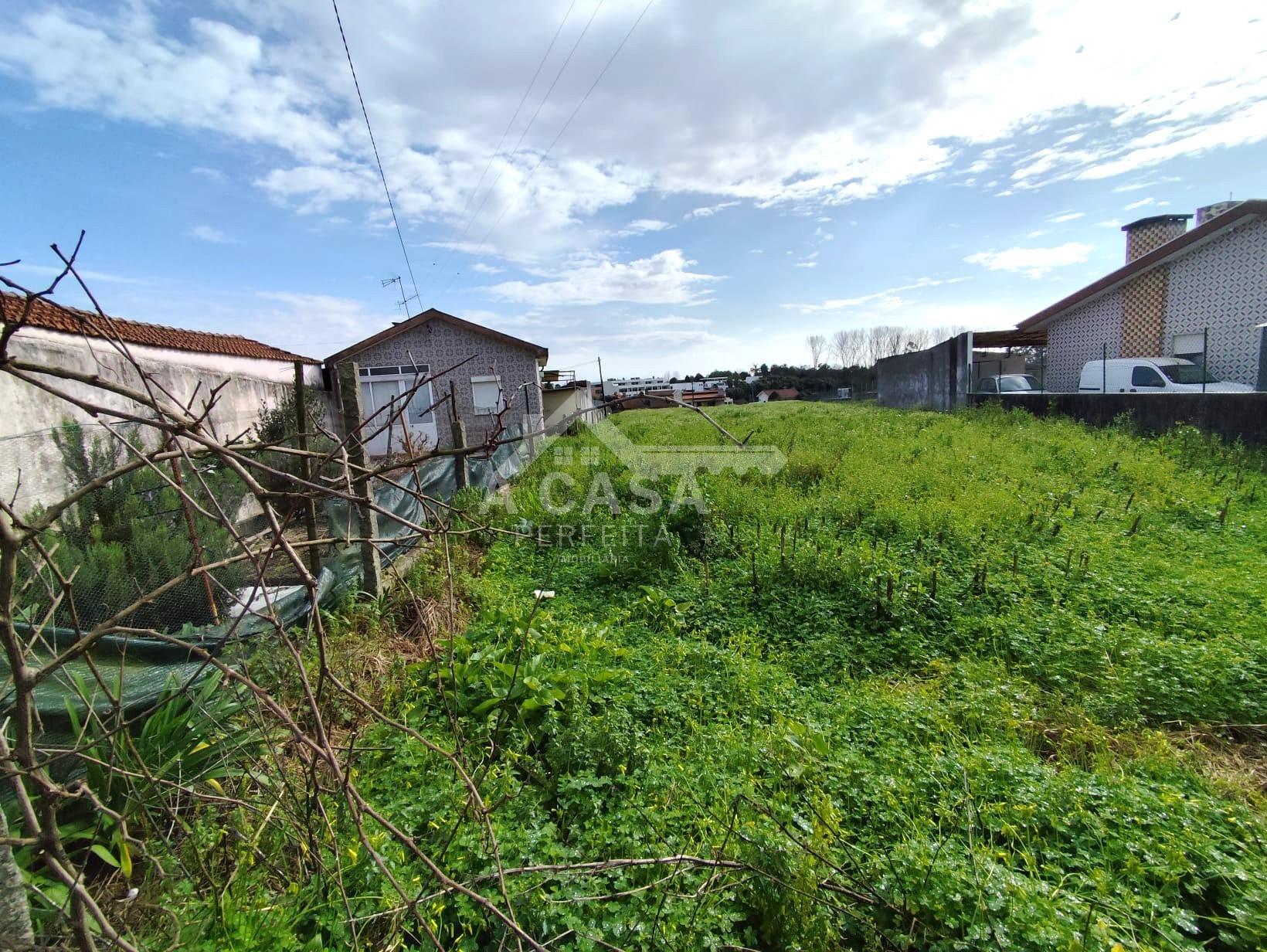 Terreno para construção em São João de Ovar