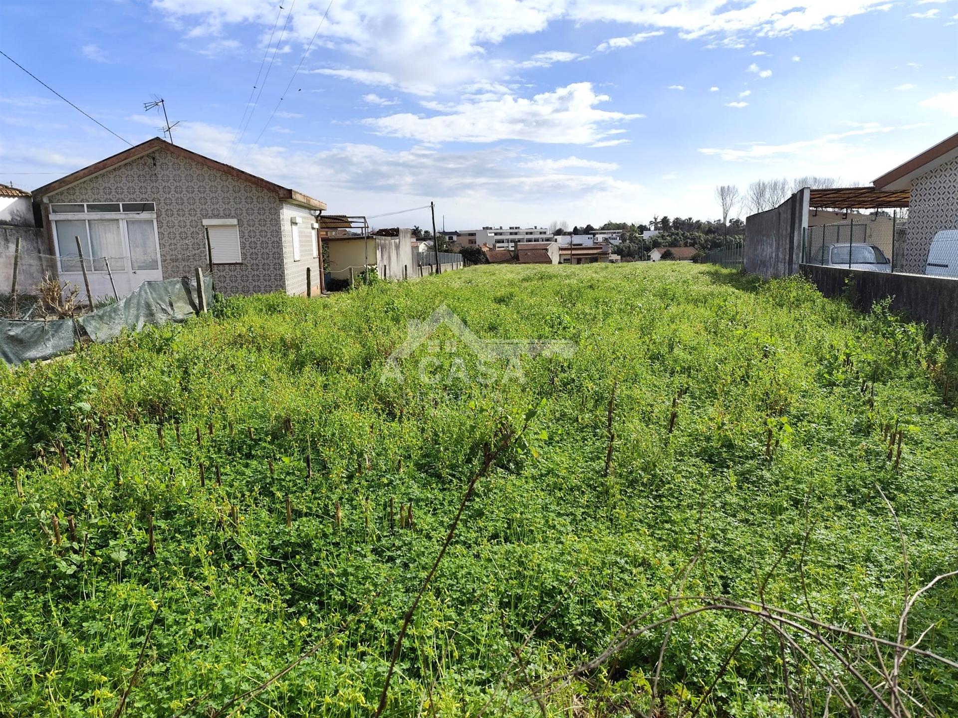 Terreno para construção em São João de Ovar