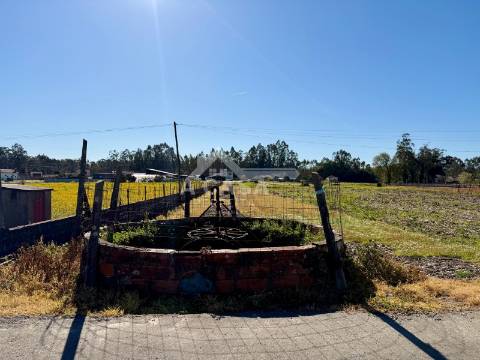 Terreno para construção em Válega