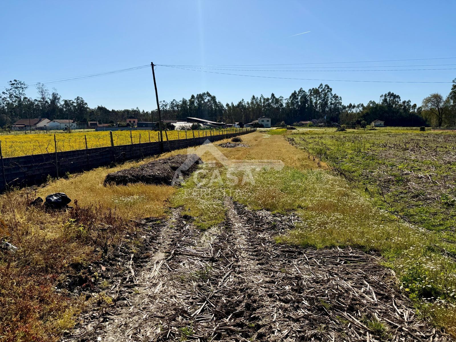 Terreno para construção em Válega