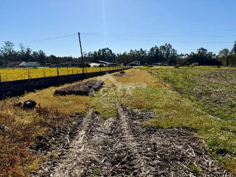 Terreno para construção em Válega