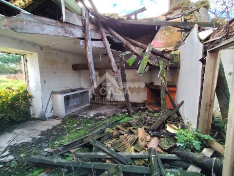 Moradia isolada T3 para restauro e logradouro em Válega