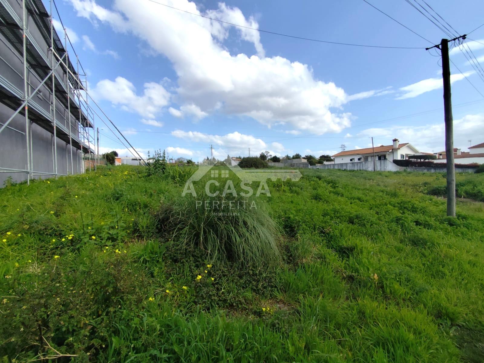 Lote de Terreno 3 em Cortegaça