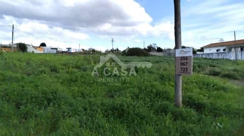 Lote de Terreno 2 em Cortegaça