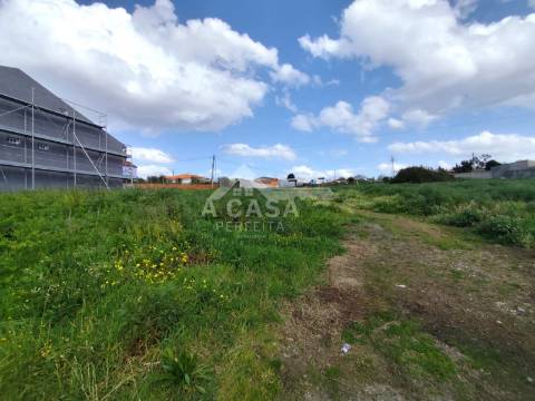 Lote de Terreno 1 em Cortegaça
