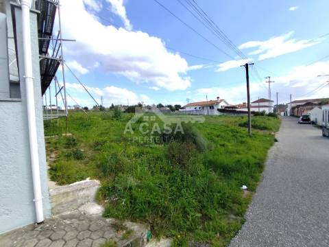 Lote de Terreno 1 em Cortegaça
