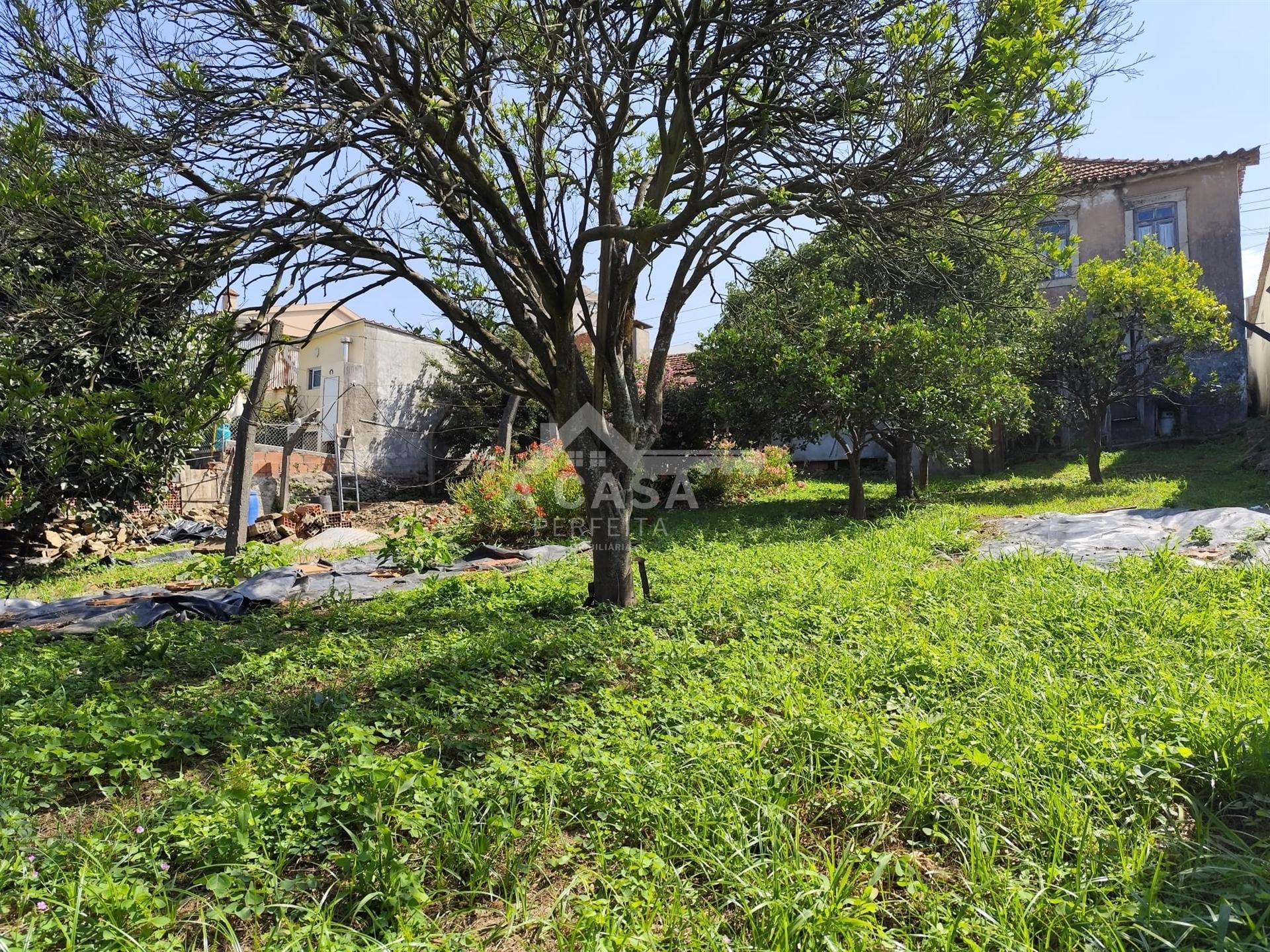 Moradia isolada T3 Térrea com logradouro e terreno em Cortegaça