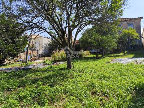 Moradia isolada T3 Térrea com logradouro e terreno em Cortegaça