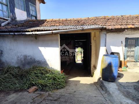 Moradia isolada T3 Térrea com logradouro e terreno em Cortegaça