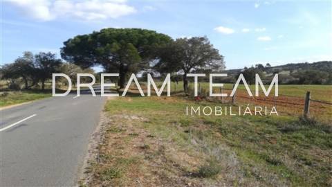 Monte no Litoral Alentejano com Ruina