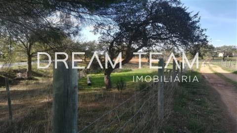 Monte no Litoral Alentejano com Ruina