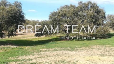 Monte no Litoral Alentejano com Ruina