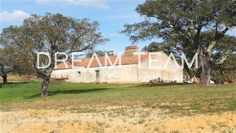 Monte no Litoral Alentejano com Ruina