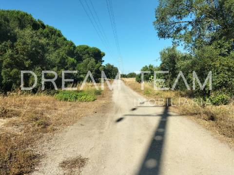 Terreno Urbano para Construção – Palhais-Coina | Viabilidade para 27 Fogos