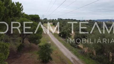 Terreno Urbano para Construção – Palhais-Coina | Viabilidade para 27 Fogos