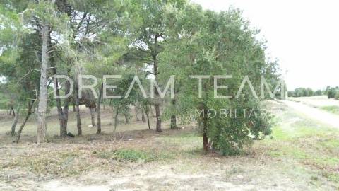 Terreno Urbano para Construção – Palhais-Coina | Viabilidade para 27 Fogos