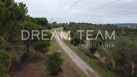 Terreno Urbano para Construção – Palhais-Coina | Viabilidade para 27 Fogos