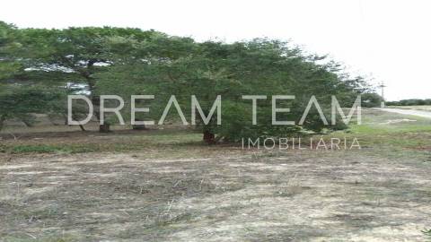 Terreno Urbano para Construção – Palhais-Coina | Viabilidade para 27 Fogos