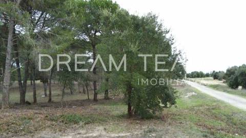 Terreno Urbano para Construção – Palhais-Coina | Viabilidade para 27 Fogos