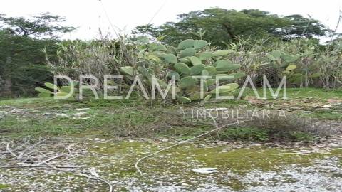 Terreno Urbano para Construção – Palhais-Coina | Viabilidade para 27 Fogos