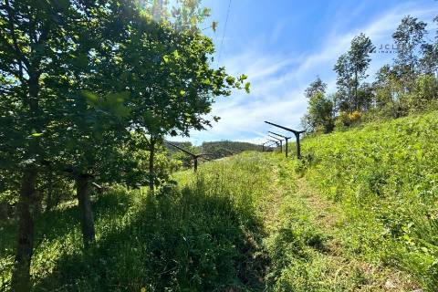 Terrenos à venda em Penafiel (Rústico + Urbano)