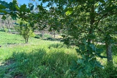 Terrenos à venda em Penafiel (Rústico + Urbano)