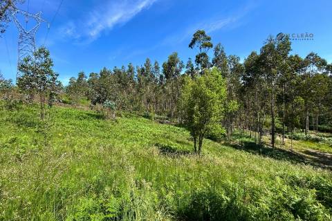 Terrenos à venda em Penafiel (Rústico + Urbano)