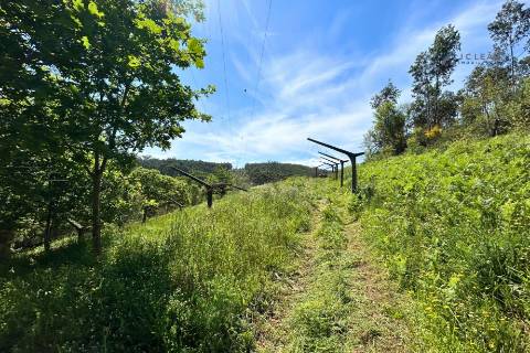 Terrenos à venda em Penafiel (Rústico + Urbano)