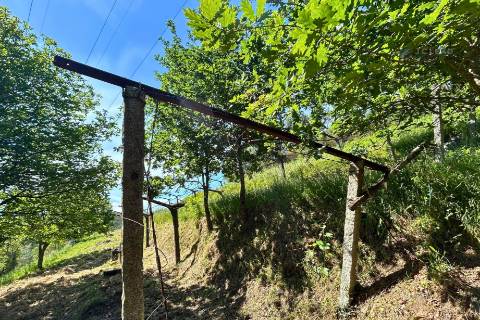 Terrenos à venda em Penafiel (Rústico + Urbano)