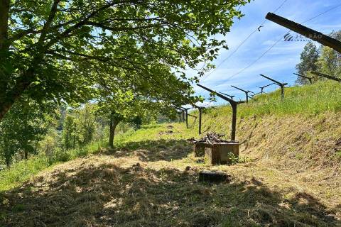 Terrenos à venda em Penafiel (Rústico + Urbano)