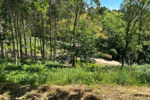 Terrenos à venda em Penafiel (Rústico + Urbano)
