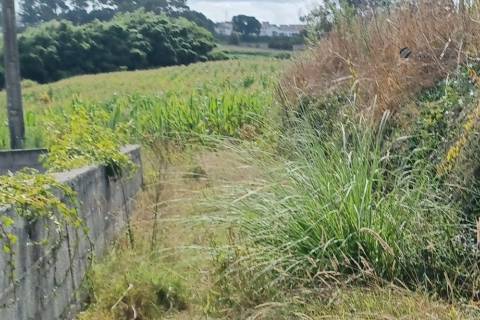 Terreno em Custóias
