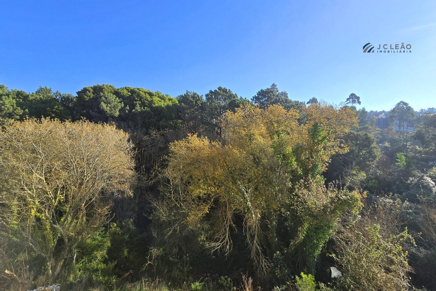 Apartamento T3 Venda em Canidelo,Vila Nova de Gaia