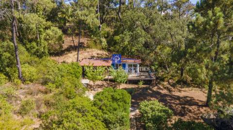 Atraente moradia T2 + 2 recentemente renovada