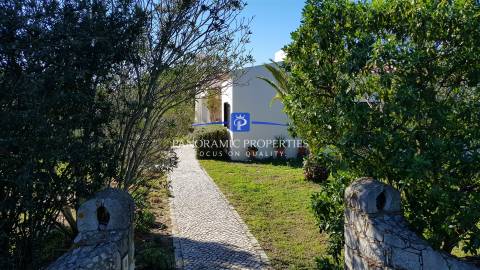 Excepcional moradia de 2 pisos independentes, implantada em terreno arborizado e vinhateiro.