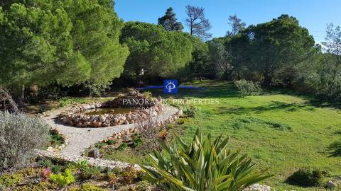 Excepcional moradia de 2 pisos independentes, implantada em terreno arborizado e vinhateiro.