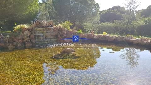 Excepcional moradia de 2 pisos independentes, implantada em terreno arborizado e vinhateiro.