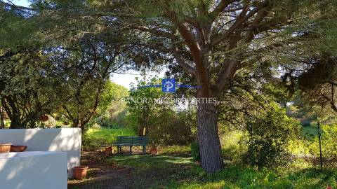 Excepcional moradia de 2 pisos independentes, implantada em terreno arborizado e vinhateiro.