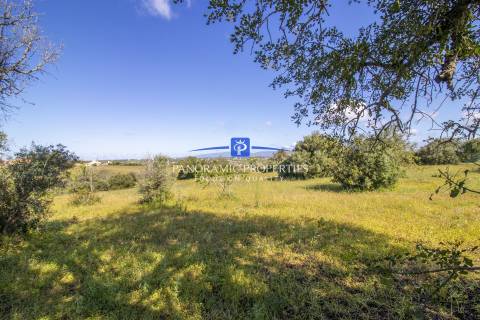 EXCLUSIVO! Amplo terreno com mais de 8000 m2 perto da Escola Internacional  Britânica