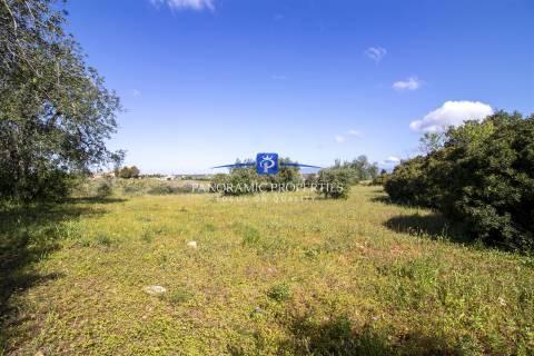 EXCLUSIVO! Amplo terreno com mais de 8000 m2 perto da Escola Internacional  Britânica