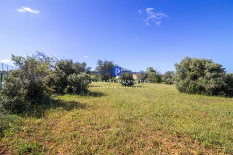 EXCLUSIVO! Amplo terreno com mais de 8000 m2 perto da Escola Internacional  Britânica