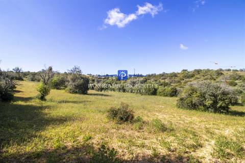 EXCLUSIVO! Amplo terreno com mais de 8000 m2 perto da Escola Internacional  Britânica