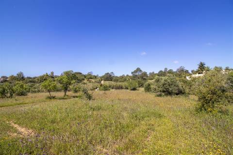 EXCLUSIVO! Oportunidade excepcional para criar a moradia dos seus sonhos.