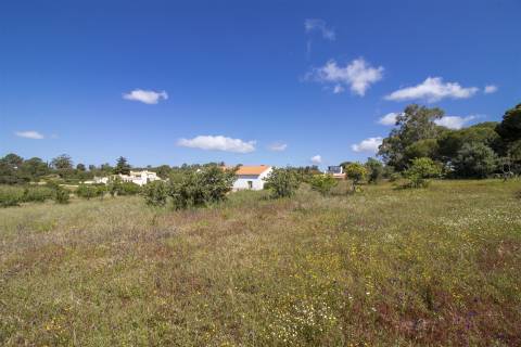 EXCLUSIVO! Oportunidade excepcional para criar a moradia dos seus sonhos.