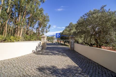 Moradia Rústica T3 Venda em Monchique,Monchique