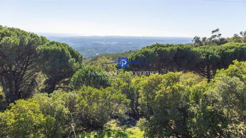 Moradia T4 Venda em Monchique,Monchique